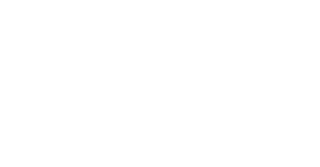 BitSight logo