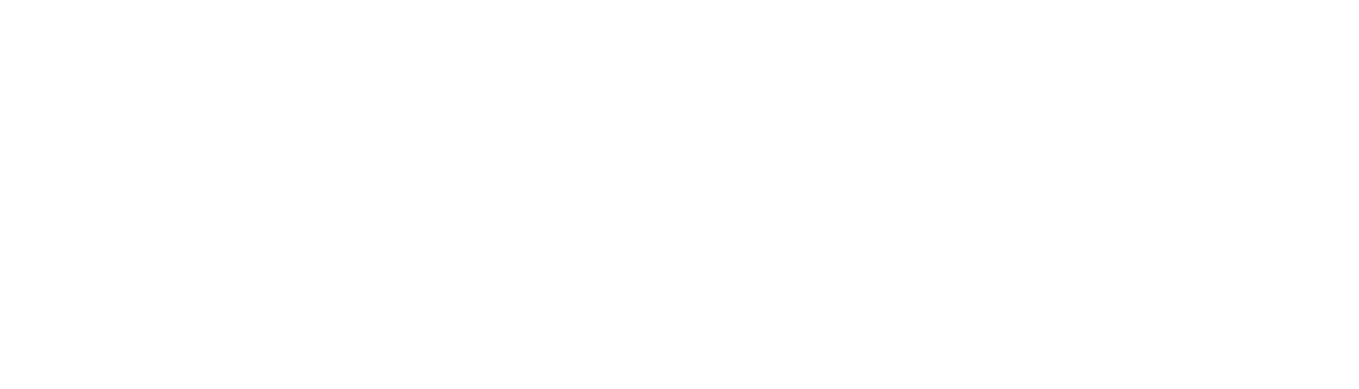 Rubrik logo